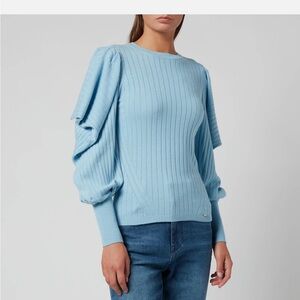 Ted Baker Balloon Sleeve Sweater